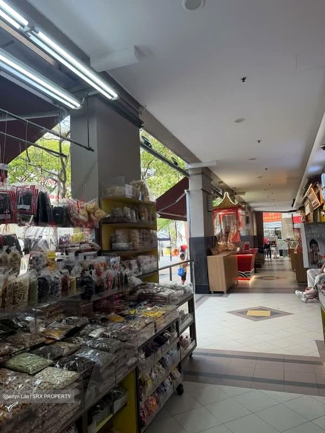 The Bencoolen (D7), Shop House #547958331